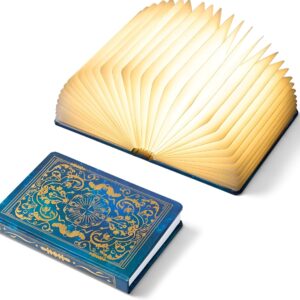 Unique foldable lamp designed to look like an open book.