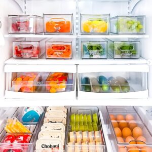 Clear storage bins neatly arranged for easy visibility and organization.