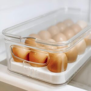 Eggs stored in a designated egg holder for better organization and freshness.