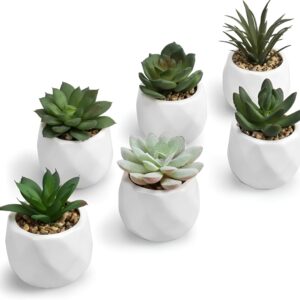 Charming mini succulent plant to brighten mom’s home.